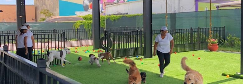 Fit & Go Pets