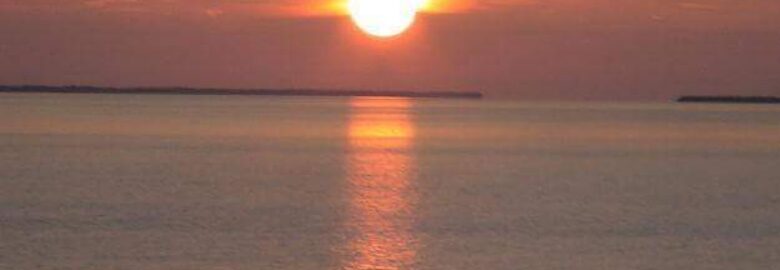 Holistic Intent Therapy- Maylin Batista, Ph.D, LMHC *Licensed practitioner of the healing arts