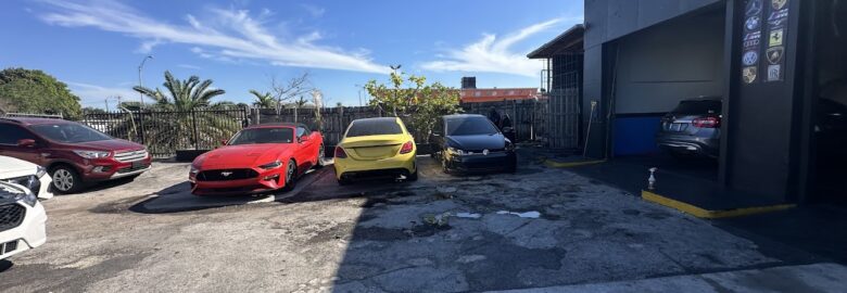 Genius Auto Solutions LLC