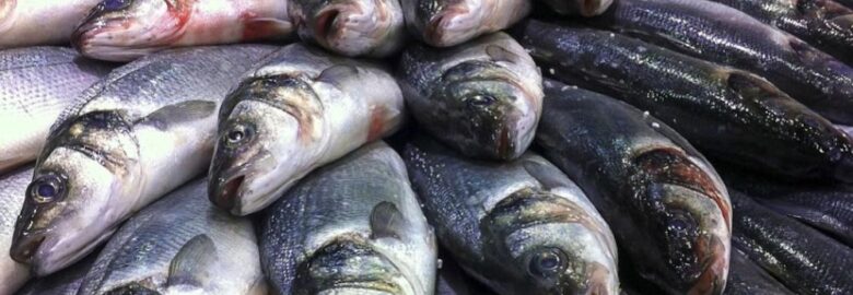 Miami Fresh Fish Market