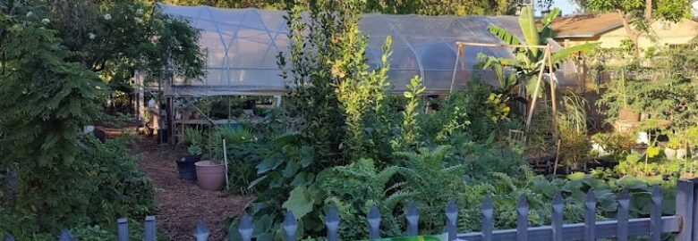 Edible Landscaping & Fruit Tree Nursery