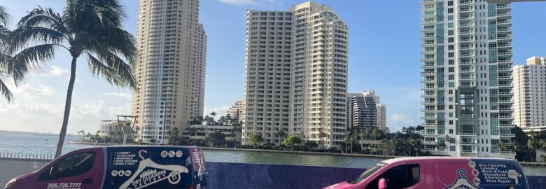 THE DRYCLEANING FACTORY