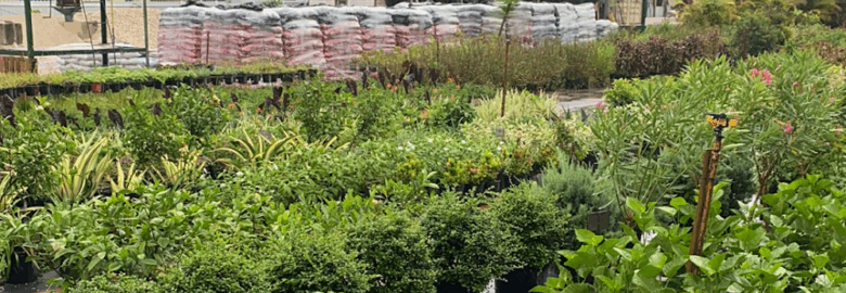 Miro’s Nursery and Landscaping