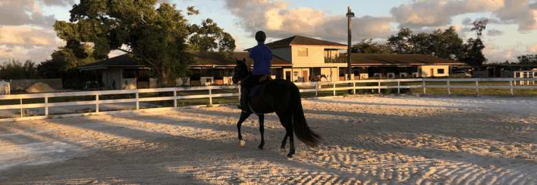 Forever Equestrian LLC
