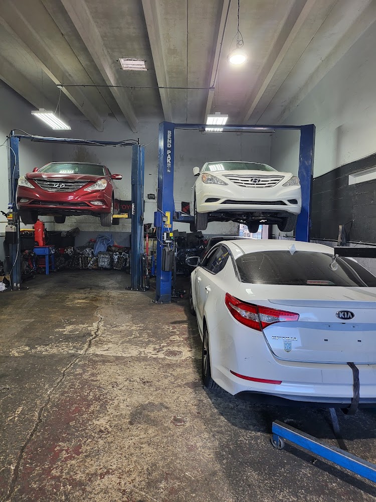 AF1QipNJhHXWU628jEsmYFrfwlrI6ifoxDEw0AbN geUw1600 h1000 k no