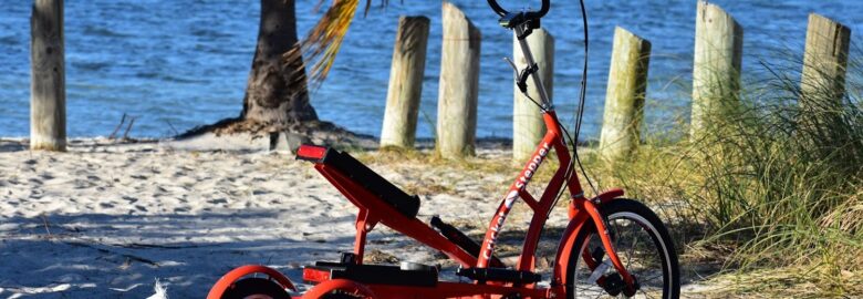 AMERICAN CRICKET LLC