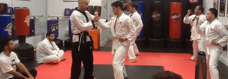 American Karate Academy #1 MMA/Karate School in Miami