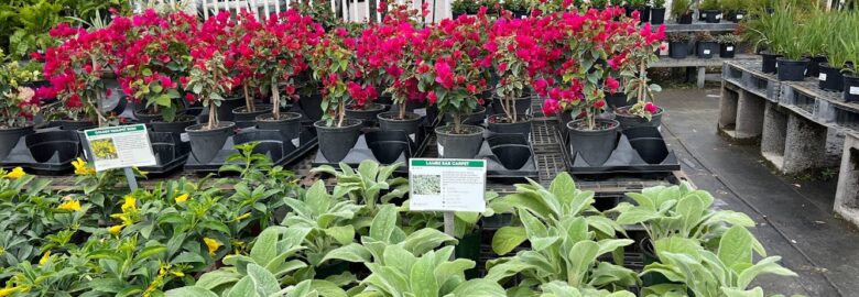 Casaplanta Garden Center