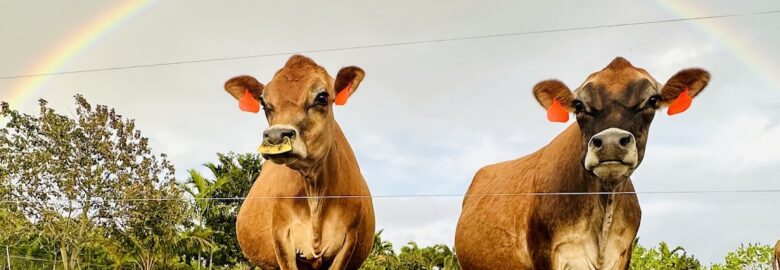 Redland Dairy Farm