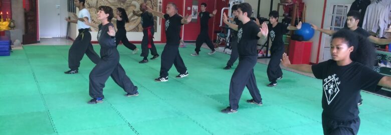 The Kung Fu Connection
