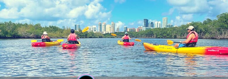 Kayak305