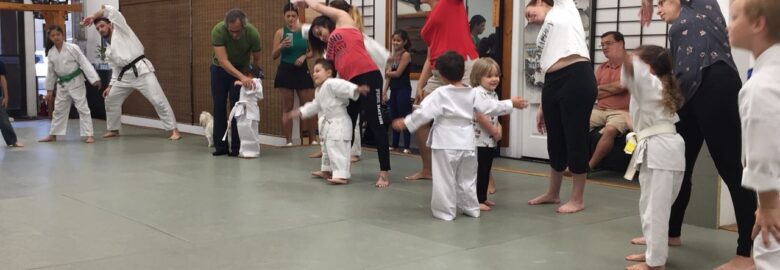 Aikido of Gold Coast Aikikai