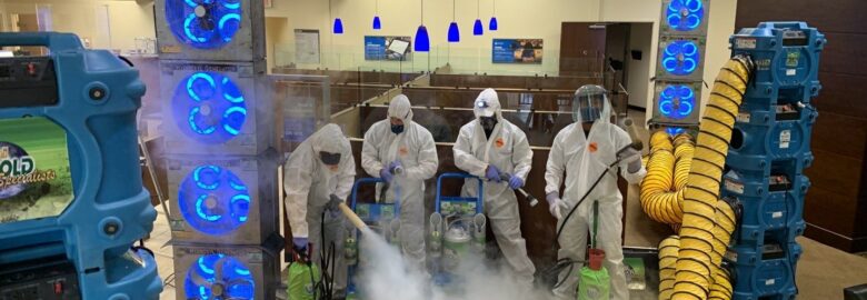 Miami Mold Specialist
