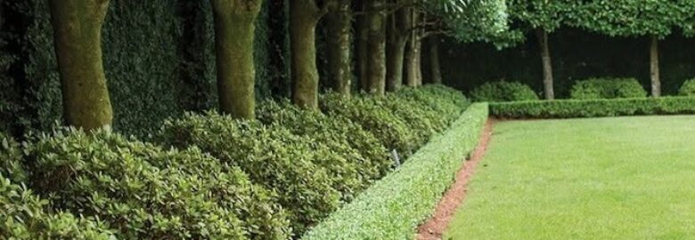 AR Landscape Design
