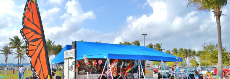 Skyward Kites