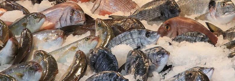 Ocean 2 Fish Fresh Seafood Market
