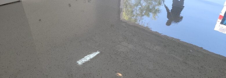 # 1 in concrete polish floors and epoxy