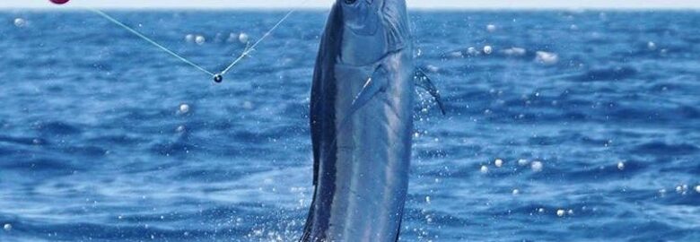 Double Threat Fishing Charters