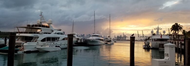 Pina Marine Services