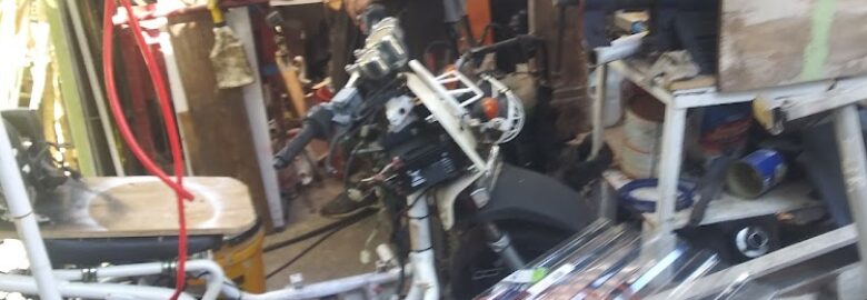 Astro Scooter Mobile Repair