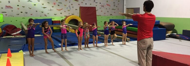 Gym Kidz Gymnastics