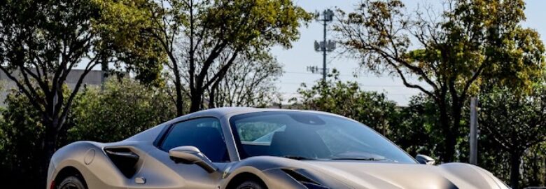 Exotic Wrap Customs