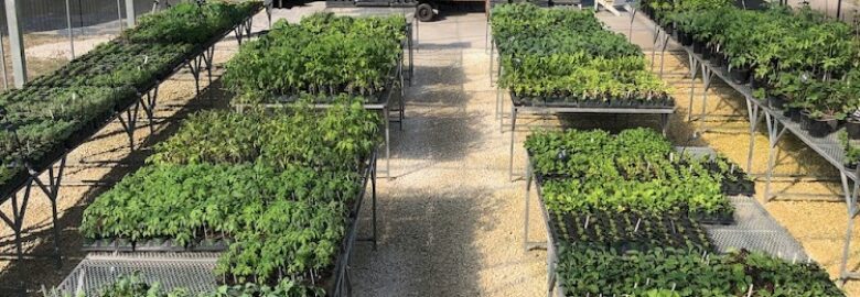 Ready-to-Grow Gardens