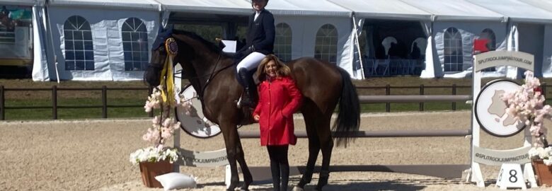 Gold Stirrup Academy