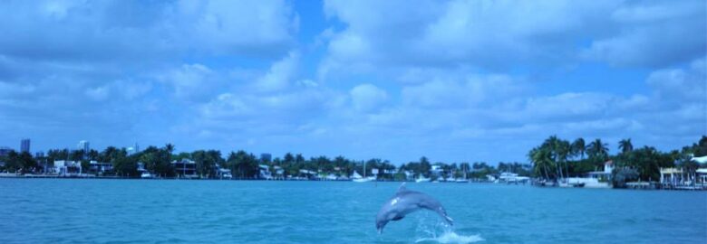 Ocean Force Adventures