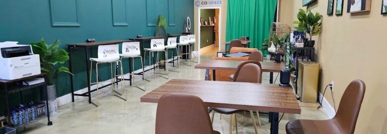Co-Space