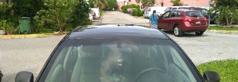 THE AUTO GLASS STOP