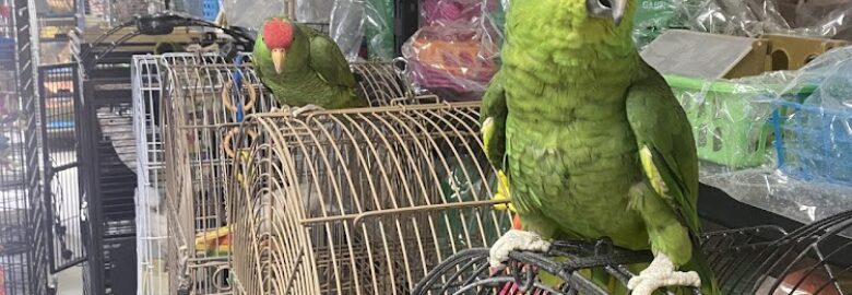 La Jungla Pet Shop