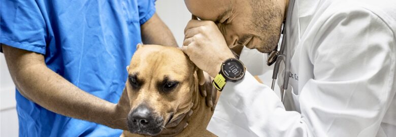 Sky Lake Animal Hospital