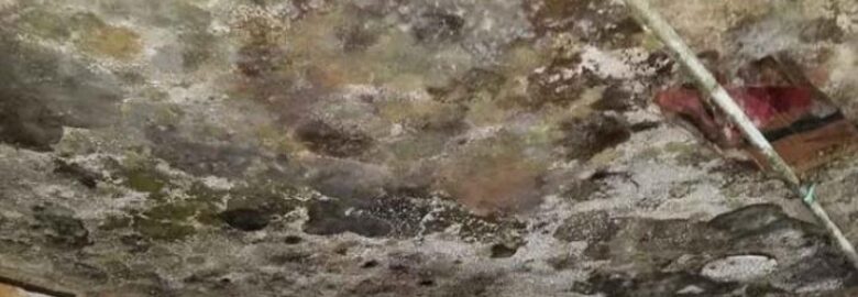 Advanced Restoration & Remediation Services Inc.