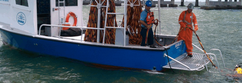 Seamar Divers LLC