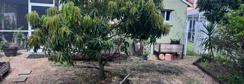 SQ Tree Service