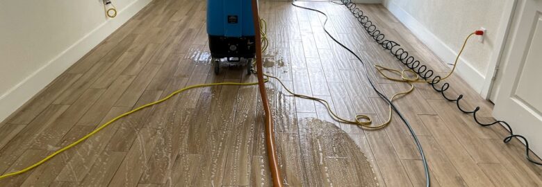 King Steam Carpet & Tile Cleaning