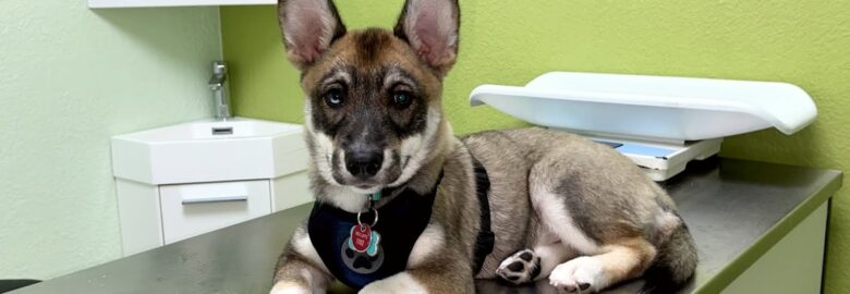 Miami Pet Clinic