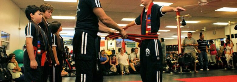 American Karate Institute