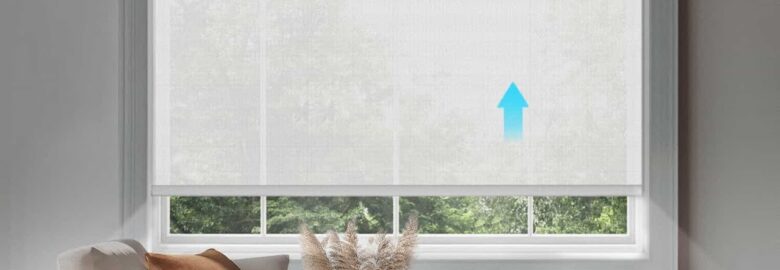 Shades and Blinds 365