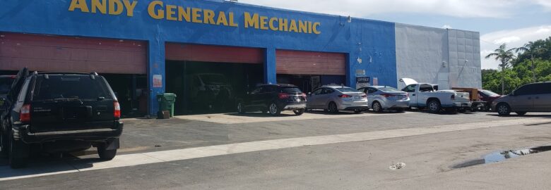 Andy General Mechanic