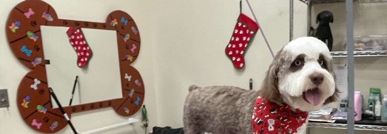 The Pet Club
