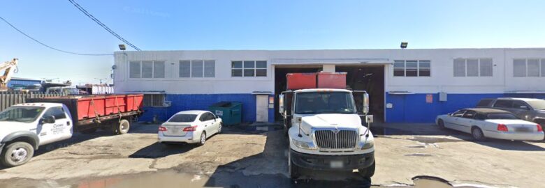 Phoenix Metal Processors