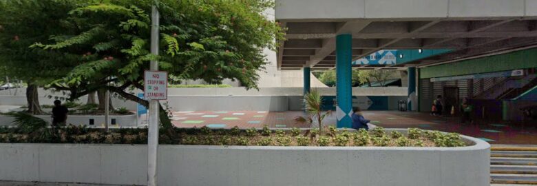 University-Miami: Campo Rafael MD