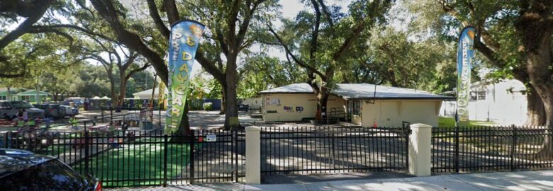 World Children’s Academy
